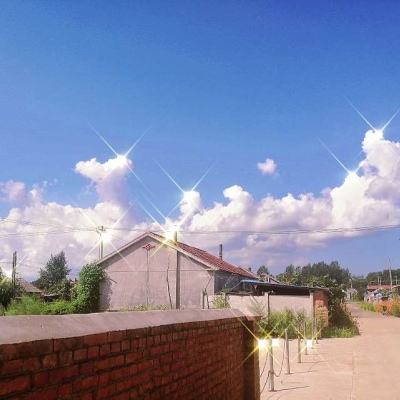 速度与冲刺内购破解版下载